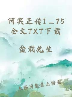 阿宾正传1—75全文TXT下载