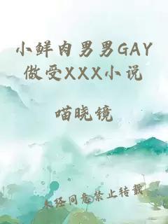 小鲜肉男男GAY做受XXX小说