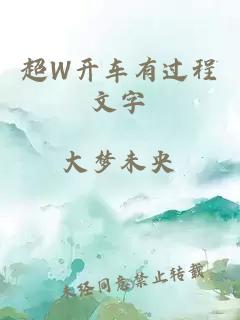 超W开车有过程文字