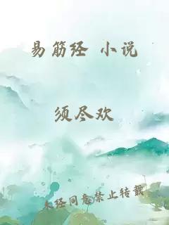 易筋经 小说