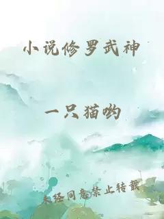 小说修罗武神