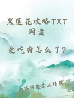 黑莲花攻略TXT网盘