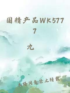 国精产品WK5777