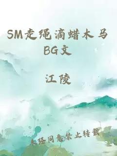 SM走绳滴蜡木马BG文