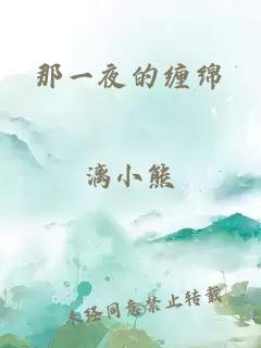 那一夜的缠绵