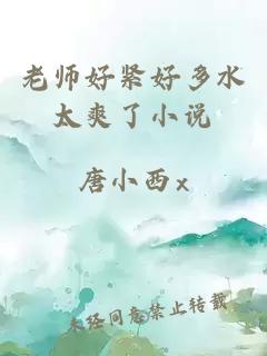 老师好紧好多水太爽了小说