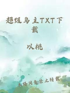 超级岛主TXT下载