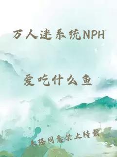 万人迷系统NPH