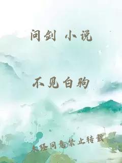 问剑 小说