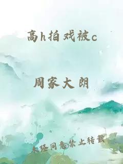 高h拍戏被c