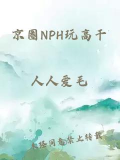 京圈NPH玩高干