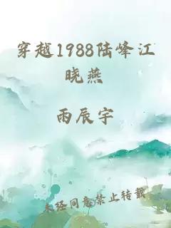 穿越1988陆峰江晓燕