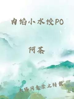 肉馅小水饺PO