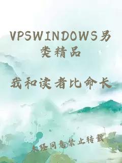 VPSWINDOWS另类精品