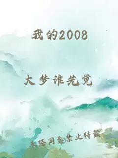 我的2008