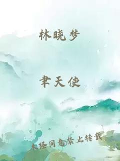 林晓梦