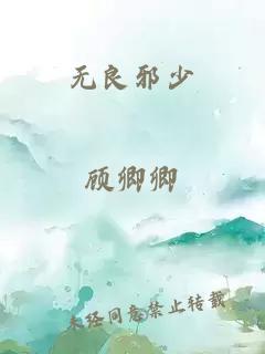 无良邪少