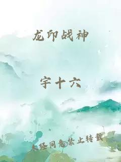 龙印战神