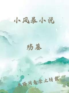 小风暴小说