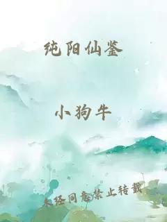 纯阳仙鉴