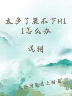 太多了装不下H11怎么办