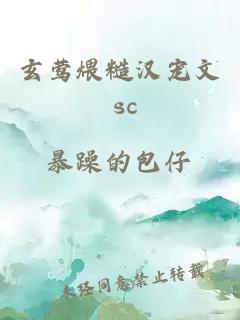 玄莺煨糙汉宠文 sc