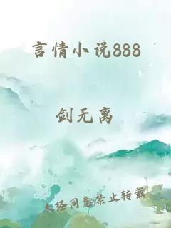 言情小说888