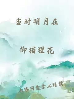 当时明月在