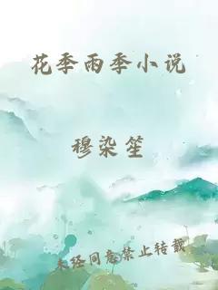 花季雨季小说