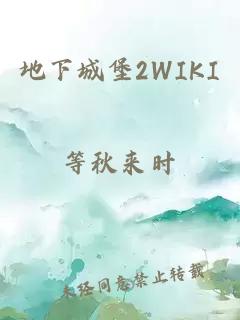 地下城堡2WIKI