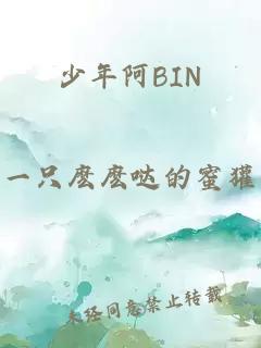 少年阿BIN