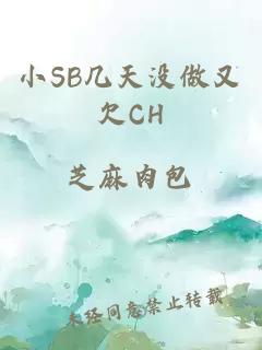 小SB几天没做又欠CH