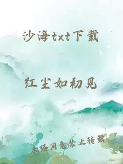 沙海txt下载