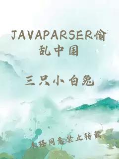 JAVAPARSER偷乱中国