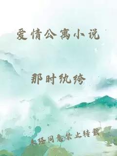 爱情公寓小说