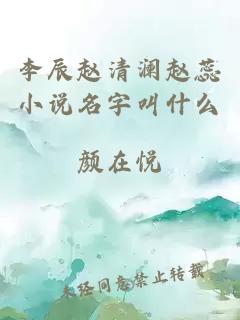 李辰赵清澜赵蕊小说名字叫什么