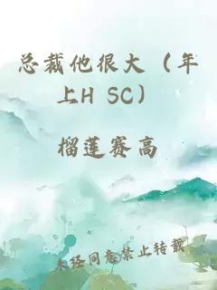 总裁他很大（年上H SC）