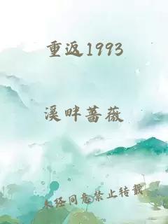 重返1993