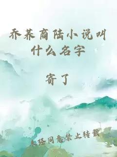 乔荞商陆小说叫什么名字