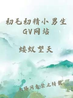 初毛初精小男生GV网站