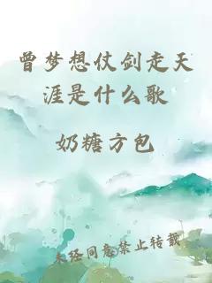 曾梦想仗剑走天涯是什么歌