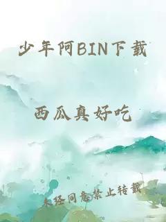 少年阿BIN下载