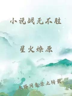 小说战无不胜