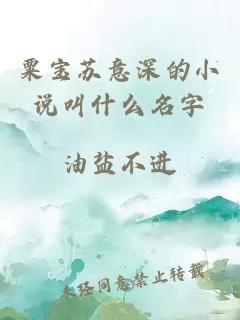 粟宝苏意深的小说叫什么名字