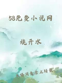 58免费小说网