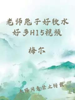 老师兔子好软水好多H15视频