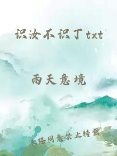 识汝不识丁txt