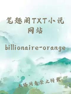 笔趣阁TXT小说网站