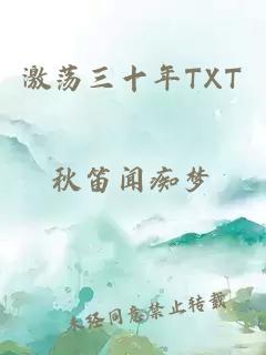 激荡三十年TXT