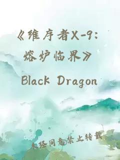 《维序者X-9：熔炉临界》